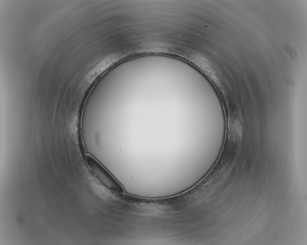 X0000114570389200911091220