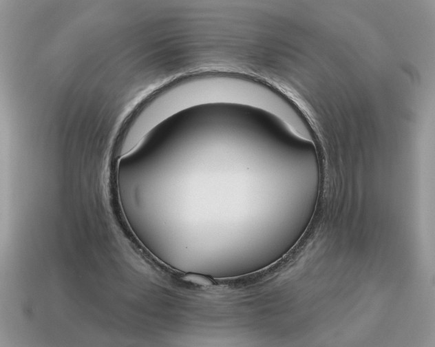 X0000114570391200911091220