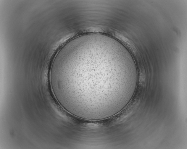 X0000114570394200911091220