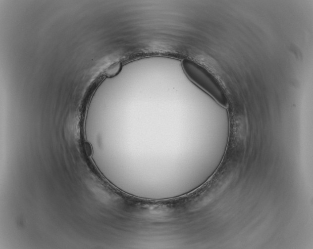 X0000114570395200911091220