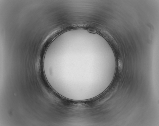 X0000114570396200911091220