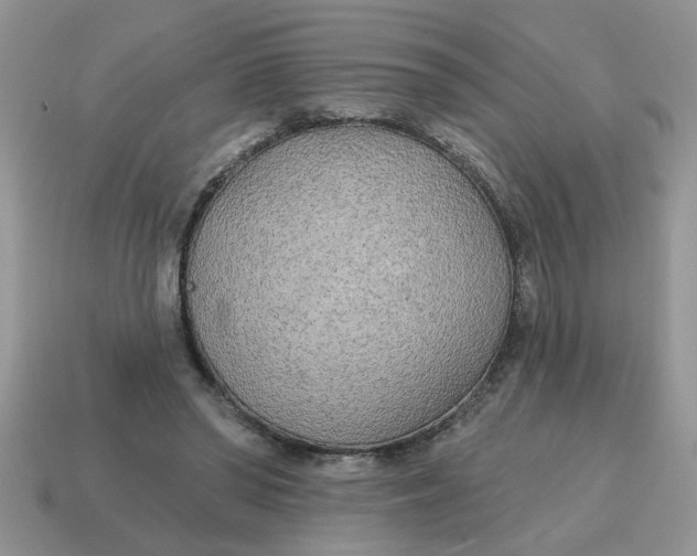 X0000114570398200911091220