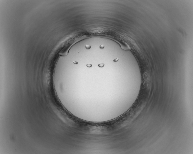 X0000114570400200911091220