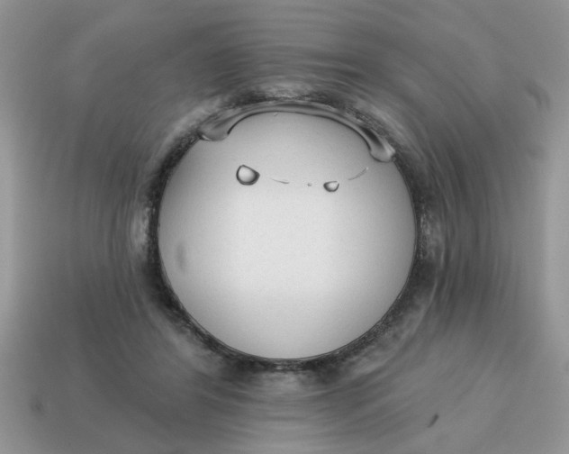 X0000114570404200911091220