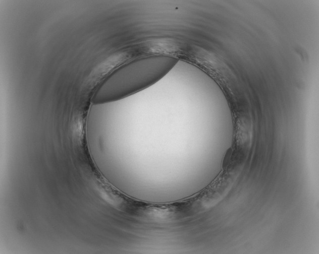 X0000114570405200911091220