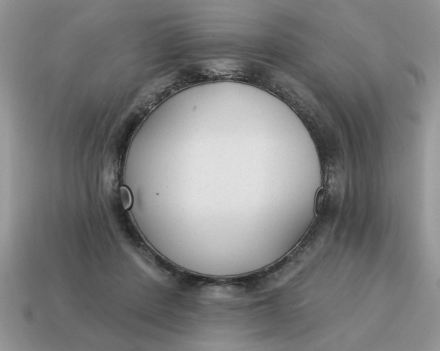 X0000114570408200911091220