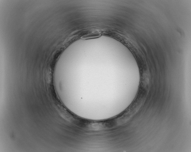 X0000114570413200911091220