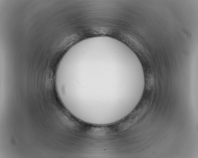 X0000114570414200911091219