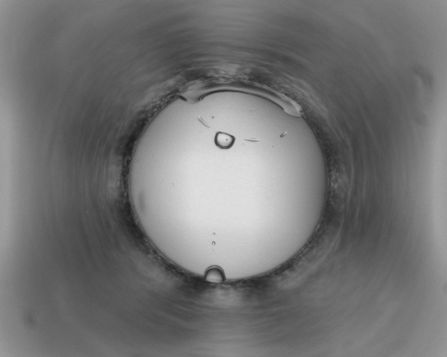 X0000114570416200911091219