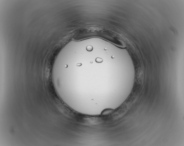 X0000114570417200911091219