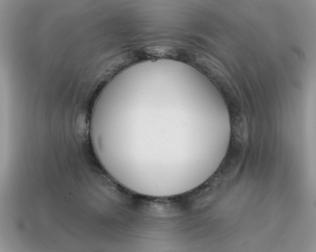 X0000114570420200911091219