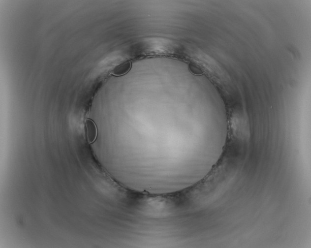 X0000114570423200911091219