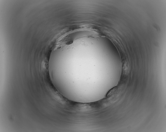 X0000114570424200911091219