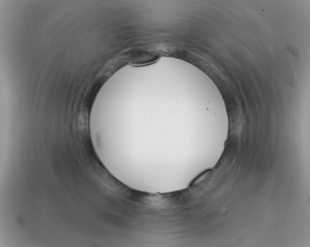 X0000114570425200911091219