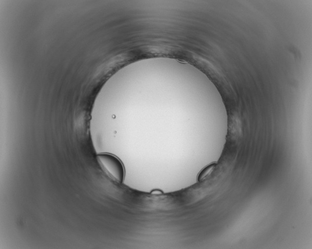 X0000114570428200911091219