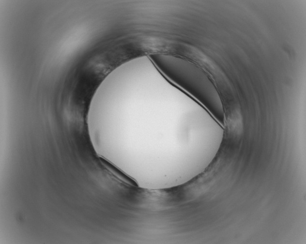 X0000114570429200911091219