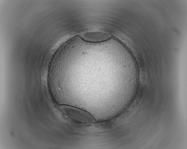 X0000114570434200911091219