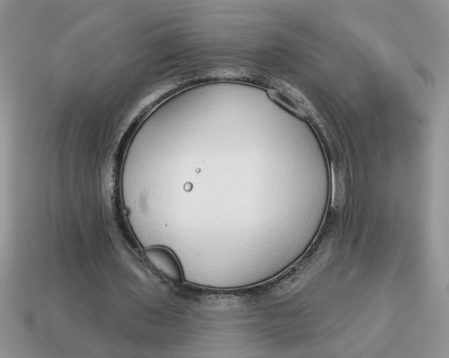 X0000114570435200911091219