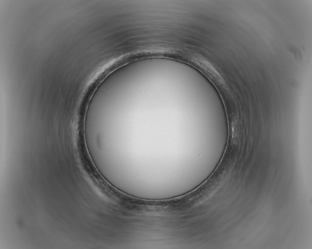 X0000114570436200911091219