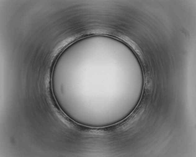 X0000114570437200911091219