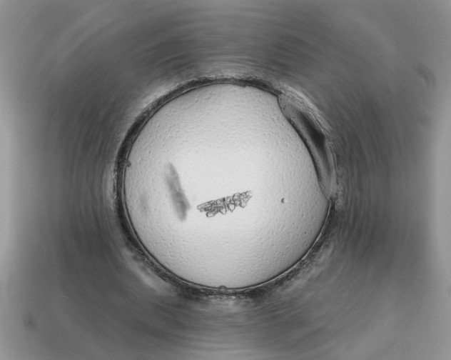 X0000114570439200911091219