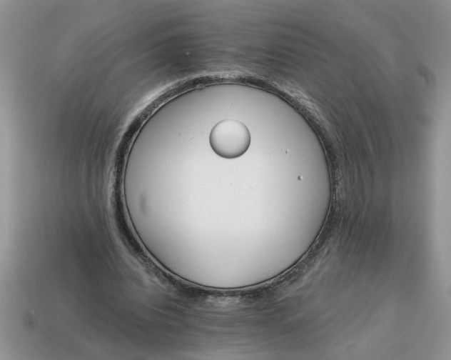 X0000114570440200911091219