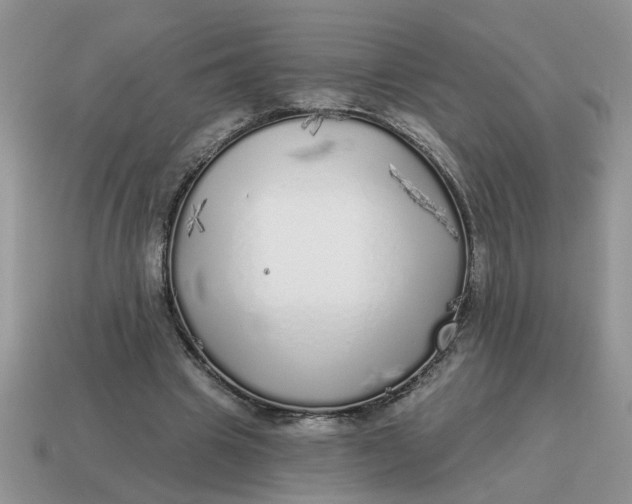 X0000114570441200911091219