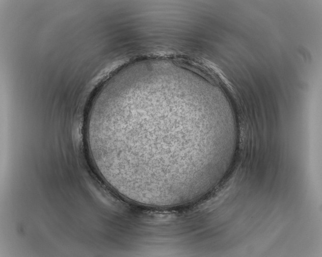 X0000114570443200911091219