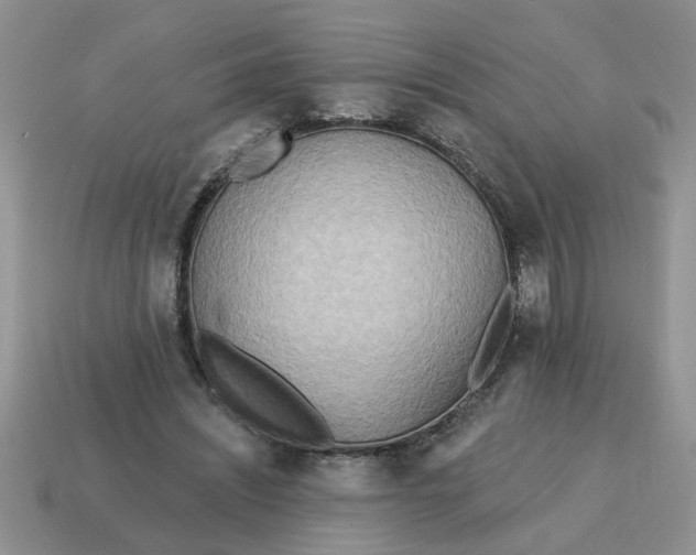 X0000114570444200911091219