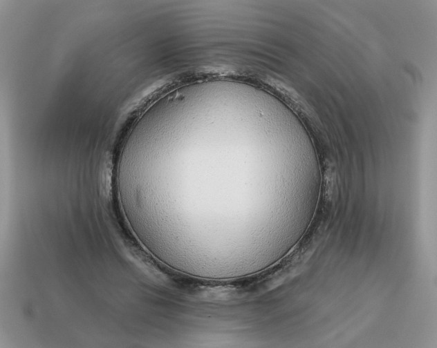 X0000114570446200911091219