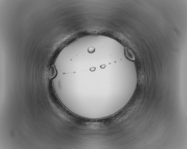 X0000114570448200911091219