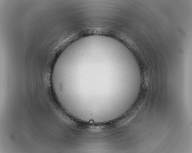 X0000114570450200911091219