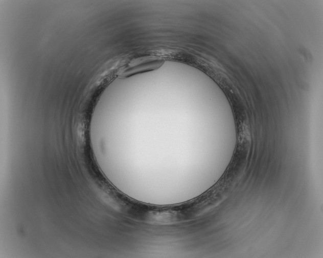 X0000114570452200911091219