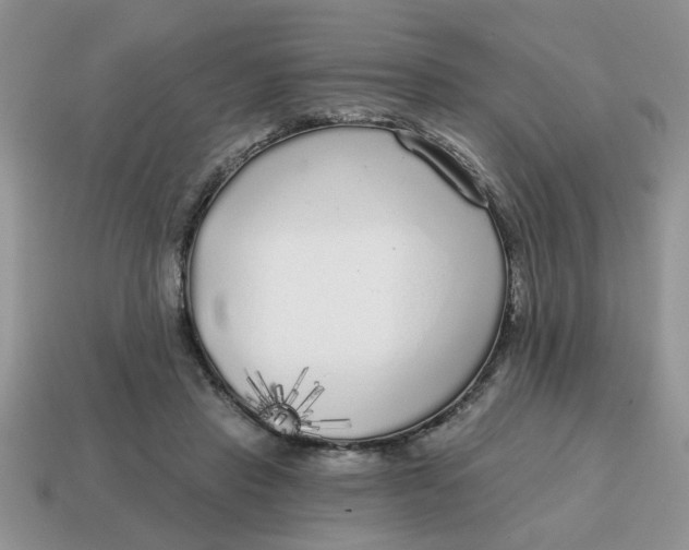 X0000114570453200911091219