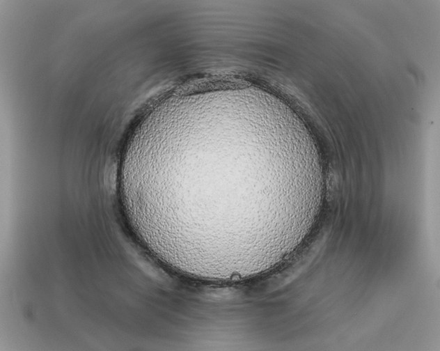 X0000114570454200911091219