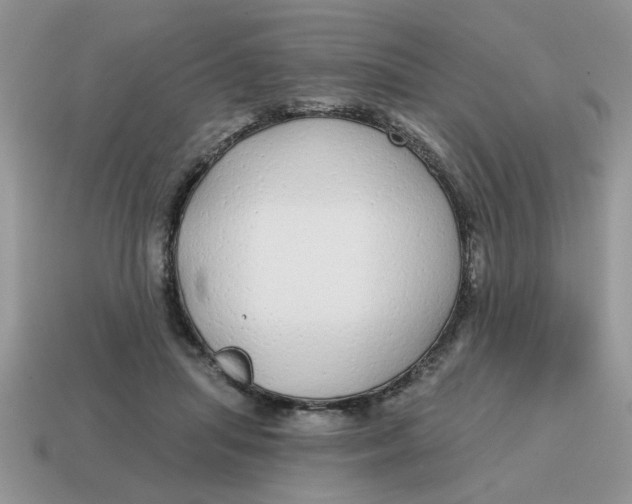 X0000114570455200911091219