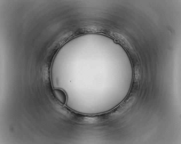 X0000114570457200911091219