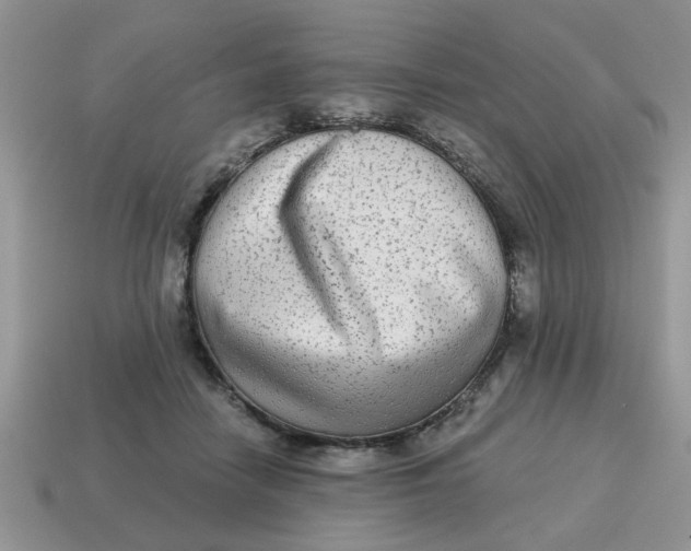 X0000114570458200911091219