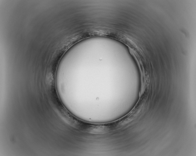 X0000114570459200911091219