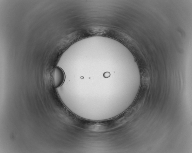 X0000114570460200911091219