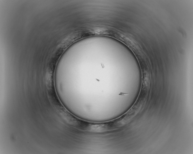 X0000114570461200911091219