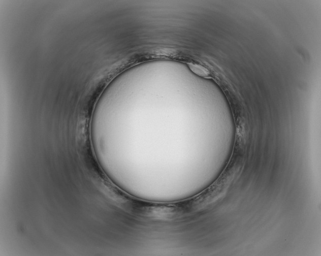 X0000114570462200911091219