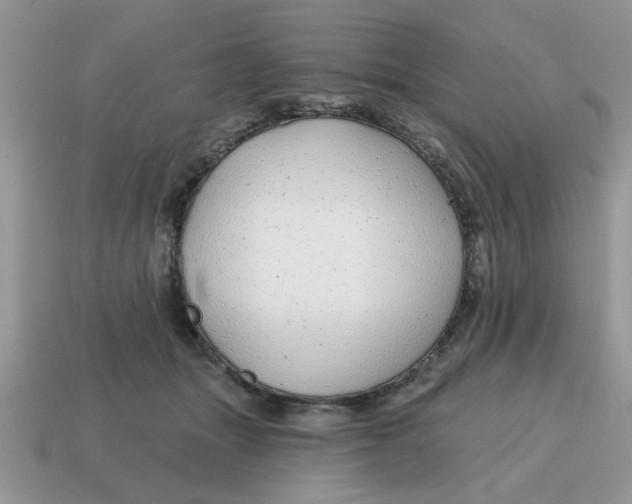 X0000114570463200911091219