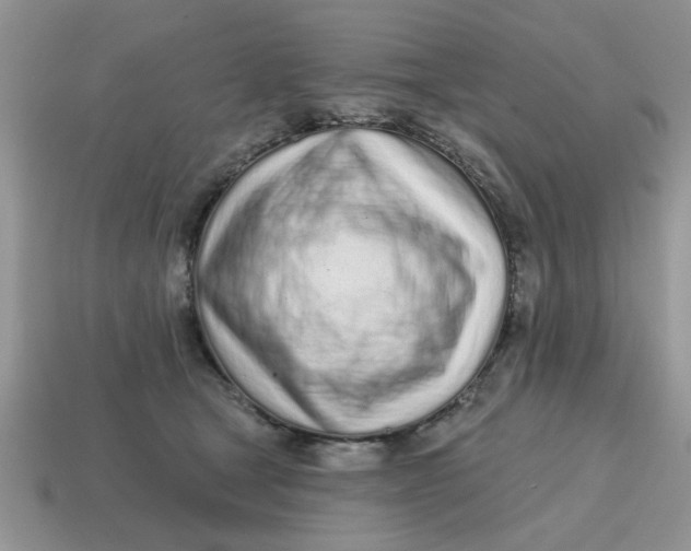 X0000114570465200911091219