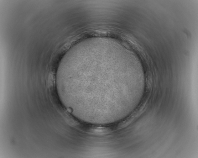 X0000114570467200911091219