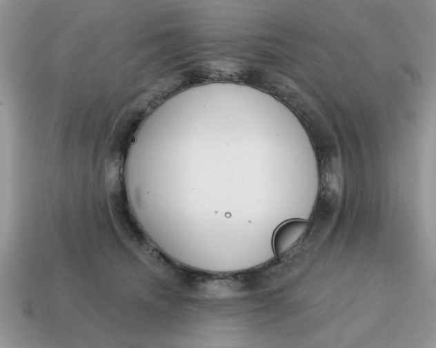 X0000114570468200911091219