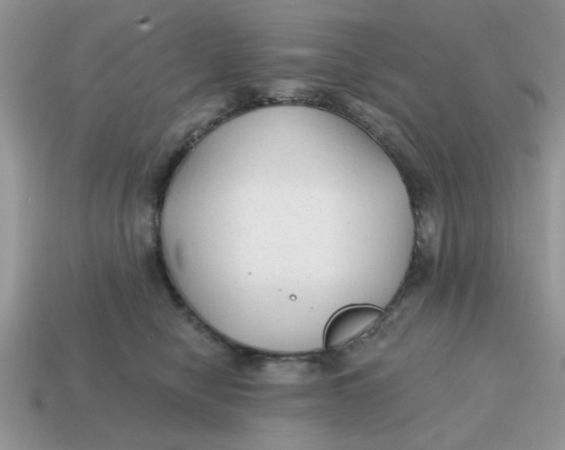 X0000114570470200911091219