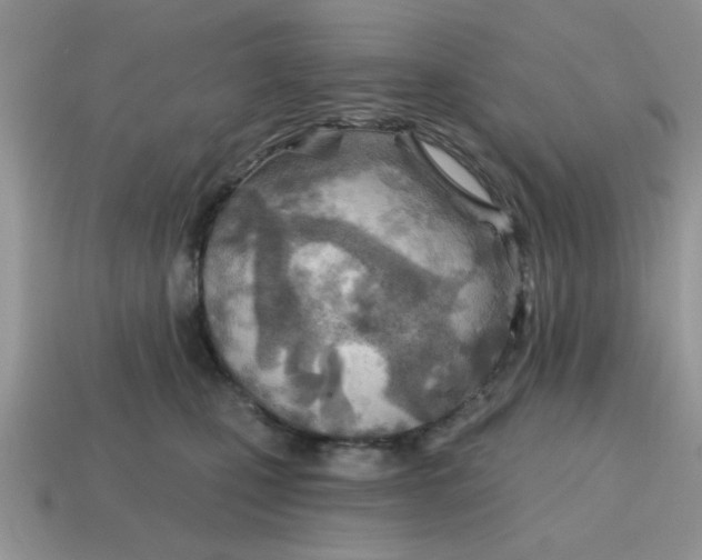 X0000114570471200911091219