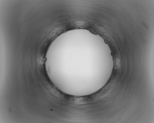 X0000114570472200911091219