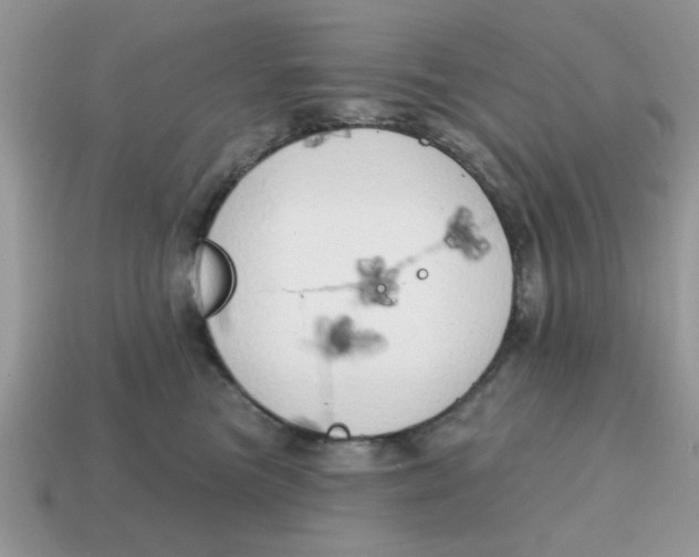 X0000114570473200911091219